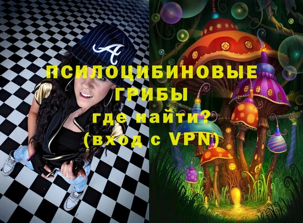герыч Арсеньев