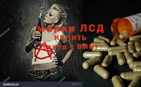 крисы Армянск