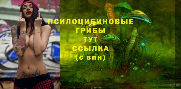 крисы Армянск