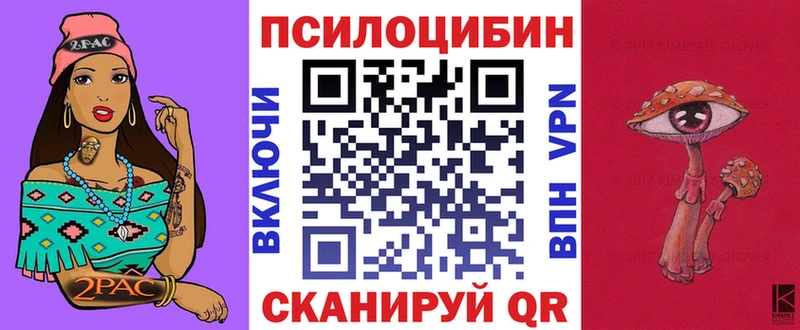 Псилоцибиновые грибы мицелий  Купить  Ахтубинск 